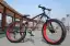 Sonhar com Bicicleta